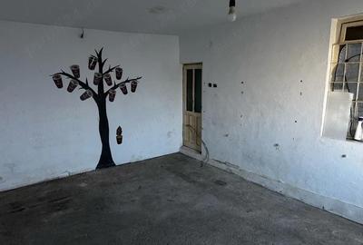 Spațiu comercial, de 40 mp, în Central - 1