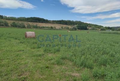 Comision %! Teren intravilan 22 400 mp, suprafata plana, sat Fundatura Cluj - 3