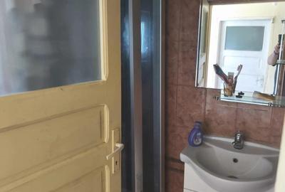 Vand casa Pianu de Sus,jud.Alba, 135 mp - 6