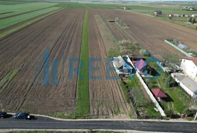 Teren de vânzare, Com. Nicolae Bălcescu, Jud. Bacău - 3