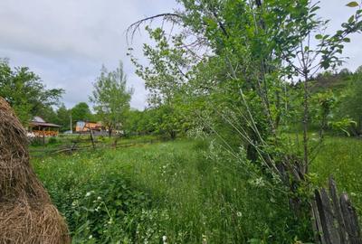 TEREN VANZARE VALEA DOFTANEI - 5