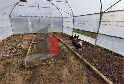 Casă cu 3 camere cu Teren 1614 Mp în Manolache - 5