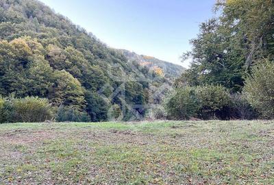 Teren pentru casa de vacanta pe Valea Bratcutei, Bihor - 6