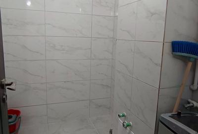 Apartament cu 2 camere decomandat în Teiul Doamnei - 10