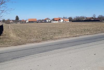 Teren de 5000 mp, în Prejmer - 3