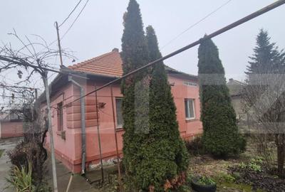 Casa 4 dormitoare, 190 mp, 1306 mp teren, zona Careiului - 30