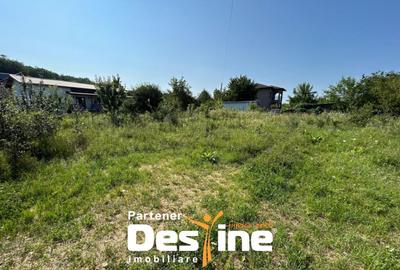 Teren Intravilan - Hlincea (Ciurea) 1000Mp - 5