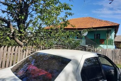 Casa de vanzare cu teren - 2