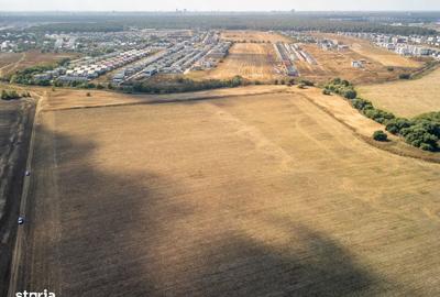 Teren de 16500 mp, în Tunari - 5