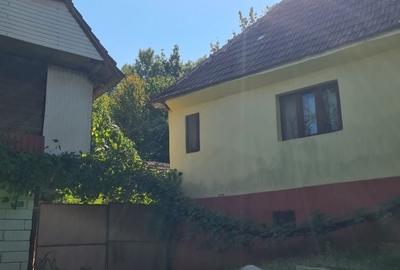 Casă cu 4 camere în Criștioru de Jos - 7