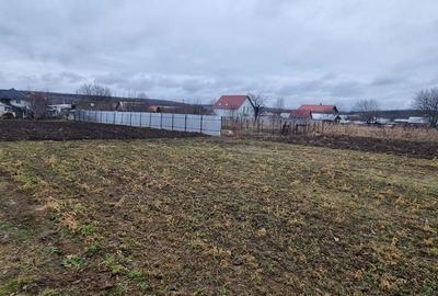 Spațiu comercial, în Central