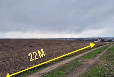 Teren de 10000 mp, în Vest - 5