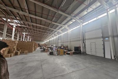 Spațiu industrial, de 1,000 mp, în 23 August (Cațelul) - 5