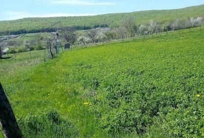 Casă în Mironeasa - 5