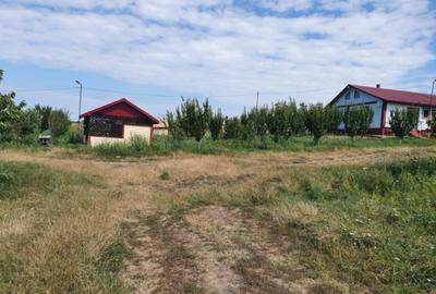 Fermă zootehnică utilată, 1000 m² construiți, comuna Dulceanca, Teleorman - 2