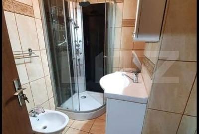 Garsonieră decomandată, mobilată în Nicolina - 8