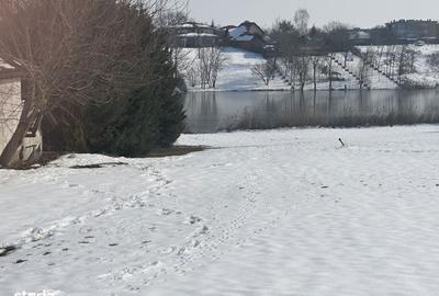 Spațiu comercial, în Balotești - 4