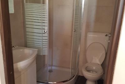 Complex 6 garsoniere zona centrala - 6