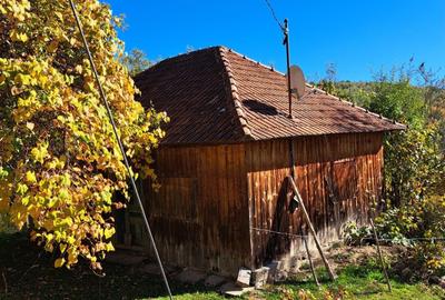 Teren extravilan in localitatea Bulz - 7