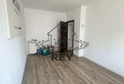 Spațiu birou/locuință– Bd. Victoriei- Parcul Sub Arini - 3