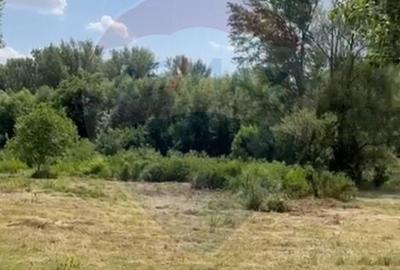 Teren agricol extravilan de 5000 mp, în DN 2 - 4