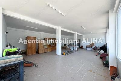 Spatiu comercial spre iesire din Loc. Deva (spre Mintia) zona Izvorul Decebal, Jud. Hunedoara. - 15