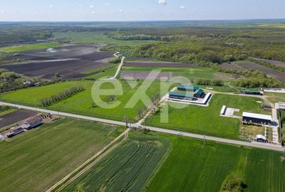 Teren Construcții intravilan de 105000 mp, în Crânguri - 10