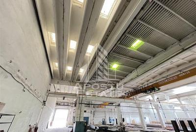 Hala Industriala de 1609 mp, Zona Buziasului - 1