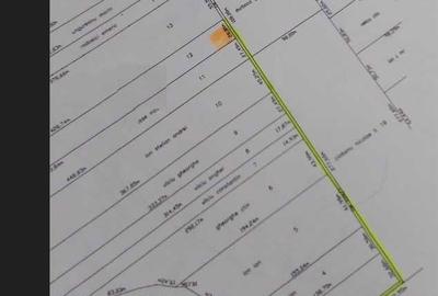 Spațiu comercial, în Pasărea - 3