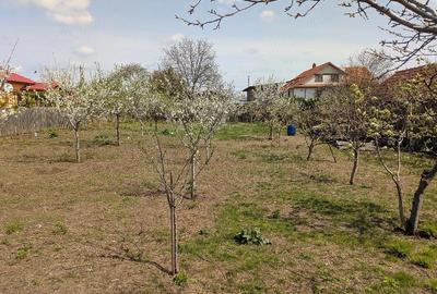 Teren de 845 mp, în Oreavul - 7