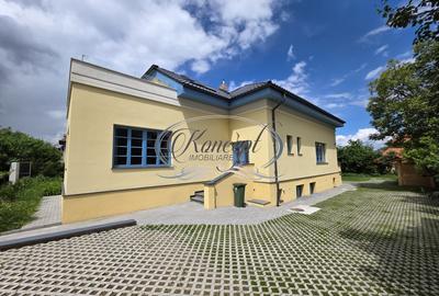 Sediu reprezentativ si exclusivist in zona premium - 1