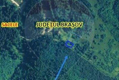 Teren 2,000mp Sacele / Strada Valea Larga - 6