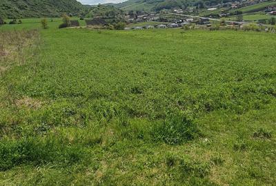 Spațiu comercial, în Ivănești - 6