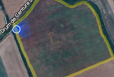 Satu Mare, Oportunitate pentru dezvoltatori, Teren generos parcelat - 9