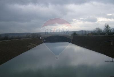 Proprietate industriala de vanzare - 102.420 mp - loc. Zauan jud.Salaj - 18