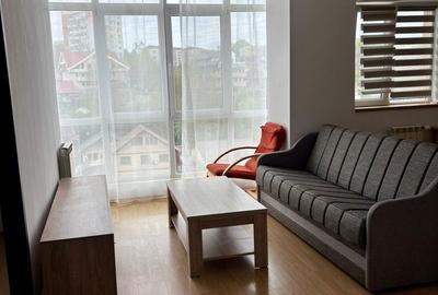Apartament cu 2 camere, mobilat în Podu Roș - 6