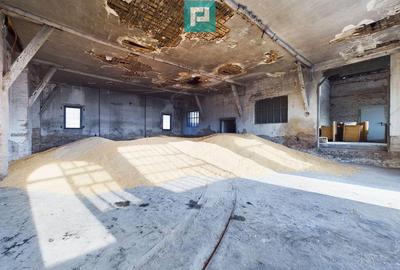 Teren ?i hale pe Calea Aradului din Periam - 10