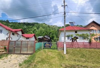 Teren de 7000 mp, în Ștubeie Tisa - 14