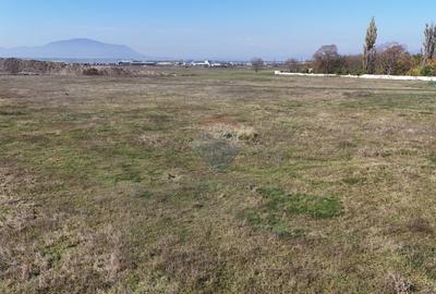 Teren  intravilan 740mp, Nicolae Labis Tractorul - 11