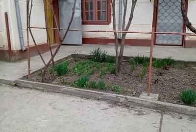 Casă cu Teren 824 Mp în Central - 2