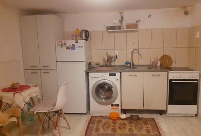 Cismigiu, Vila, garsoniera 19 mp - 1