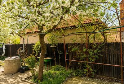 Casă cu 3 camere în Central - 5