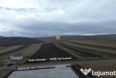 Teren de 14066 mp, în Mihoveni - 4