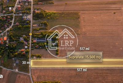 Teren de 15500 mp, în Dascălu - 2