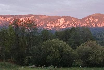 Teren de 500 mp, în Sălciua - 3