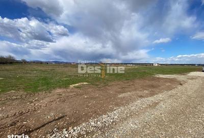 Teren de 900 mp, în Dumbrava - 2