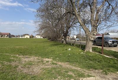 Teren de 130000 mp, în Armeni - 8