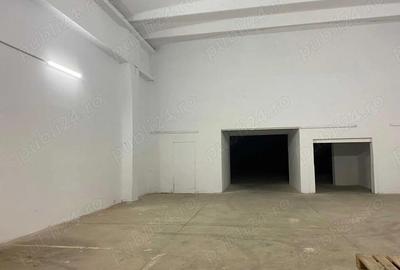 Hala industriala de inchiriat, Calea Aradului, 488mp - 3