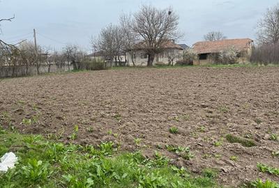 Teren de 2617 mp, în Brastavățu - 5