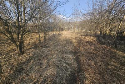 Casă cu 4 camere cu Teren 1000 Mp în Vâlcănești - 4